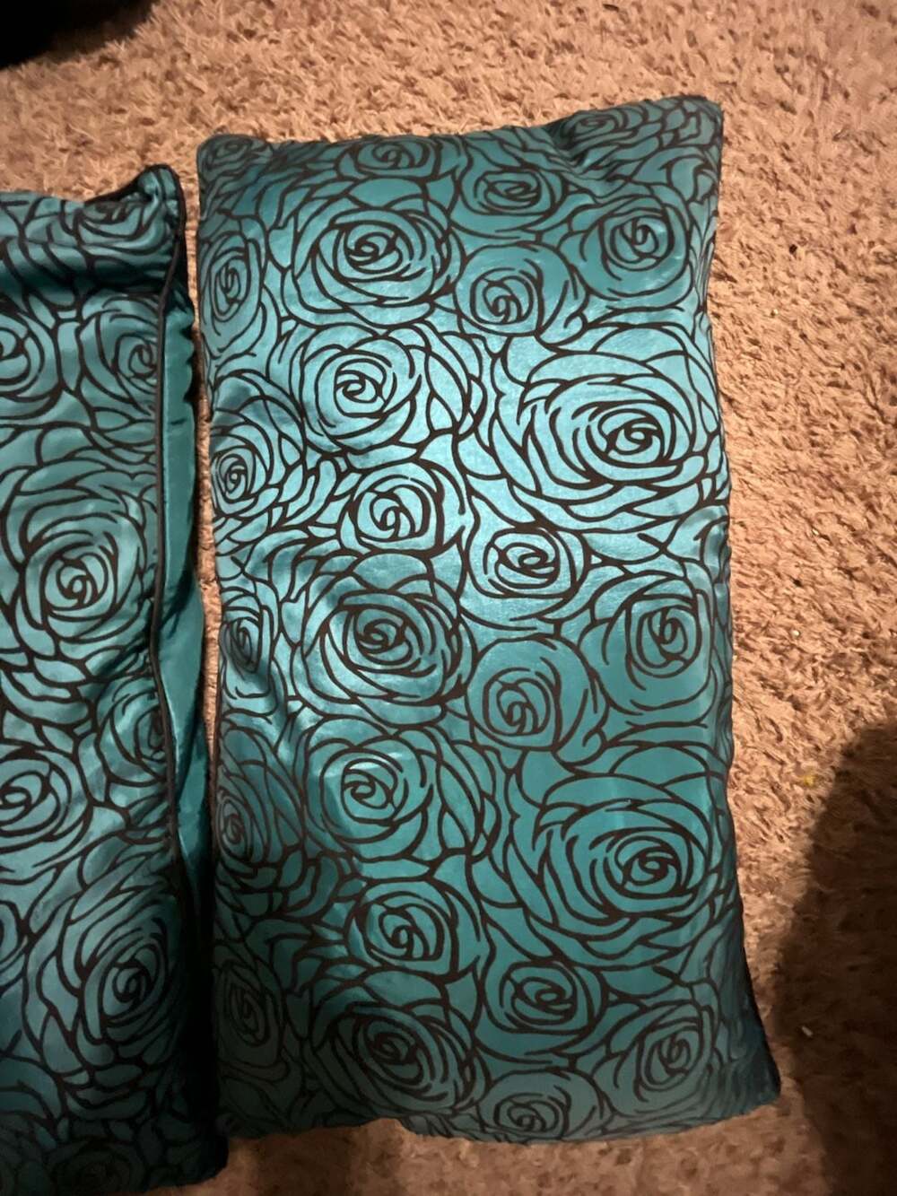 Set of 2 Decorative Teal and Black Rose Print Throw Pillows